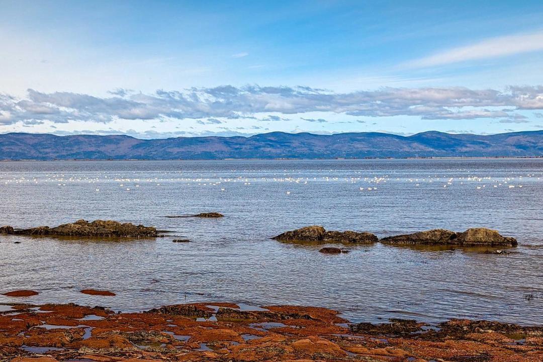 Photo of Others in Cap-Saint-Ignace