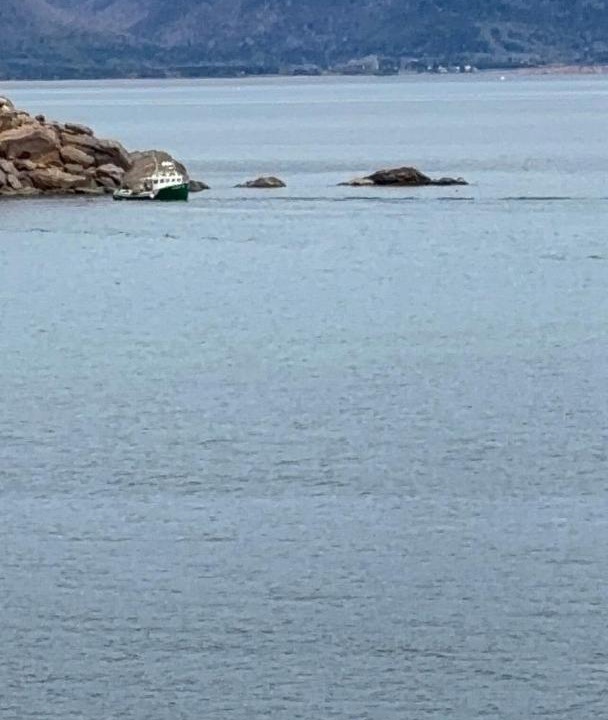 Photo of Others in White Point