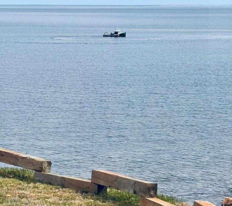 Photo of Others in White Point