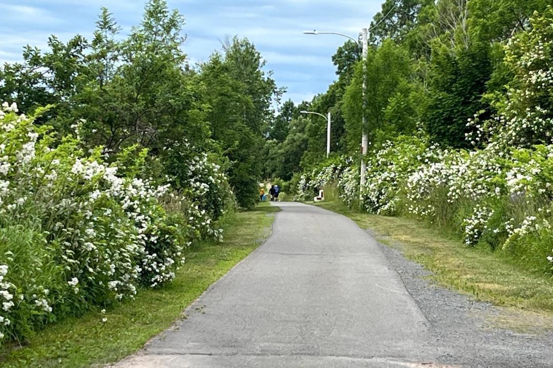 Photo of Outdoor in Pictou