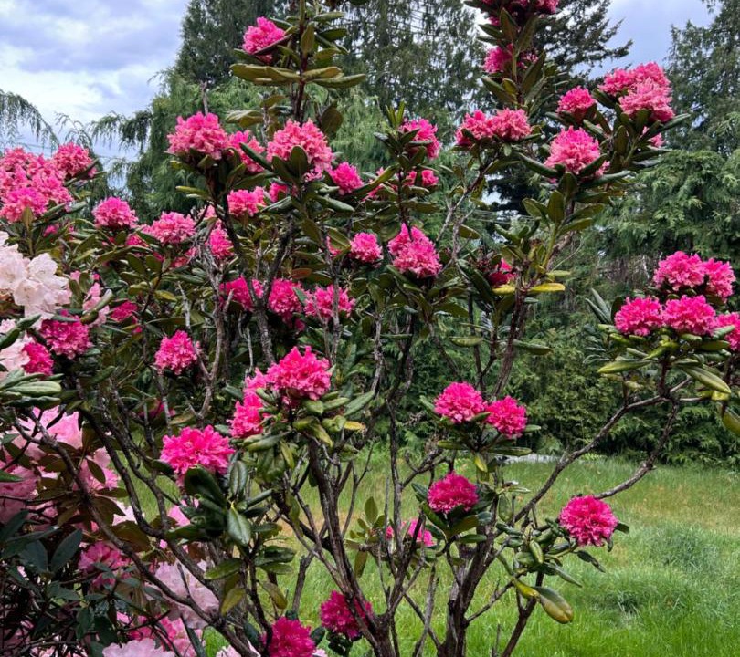 Photo of Others in Regional District of Nanaimo