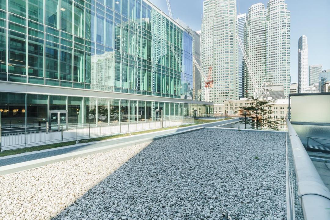 Photo of Others in Toronto Entertainment District