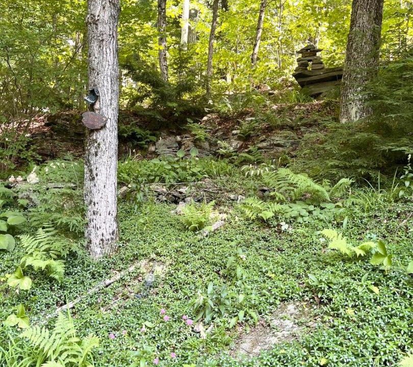 Photo of Others in Algonquin Highlands