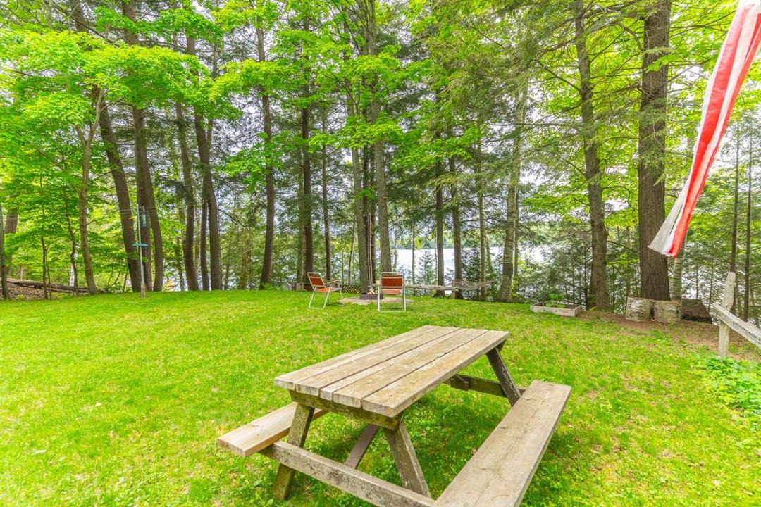 Photo of Others in Algonquin Highlands