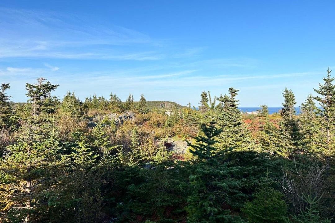 Photo of Others in Elliston