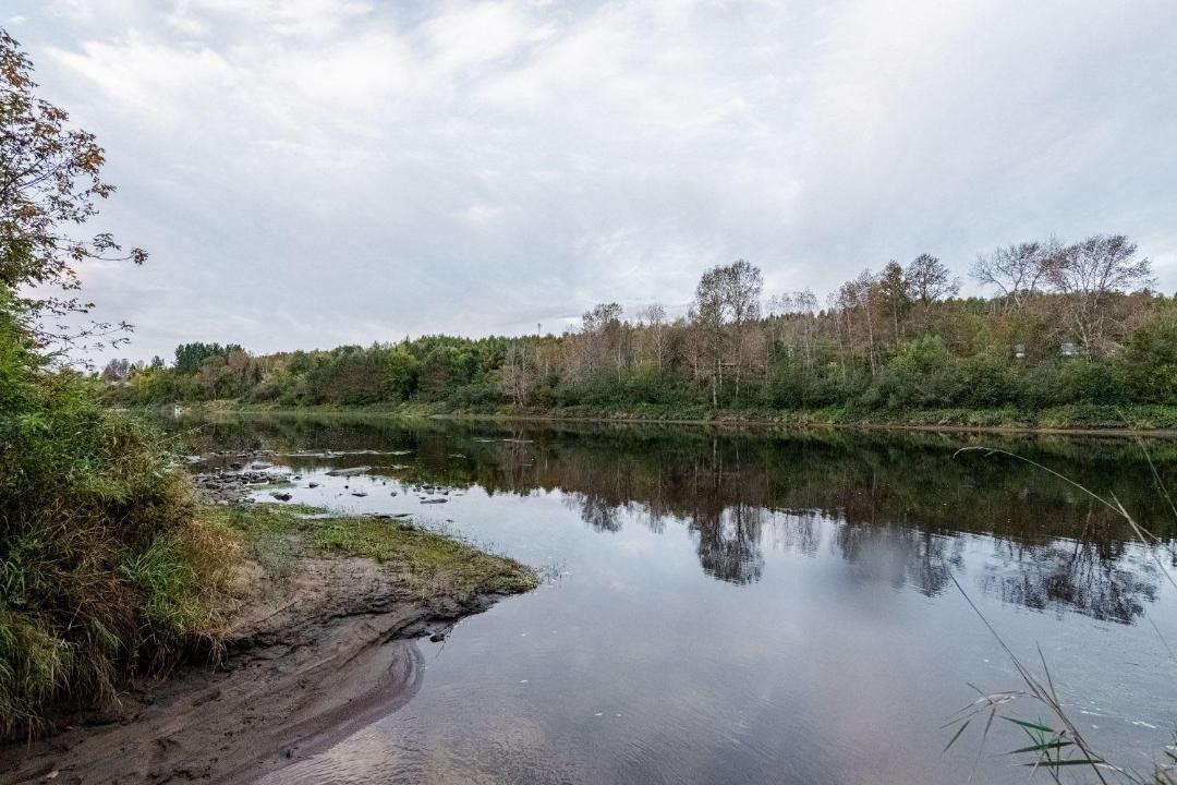 Photo of Others in Mauricie