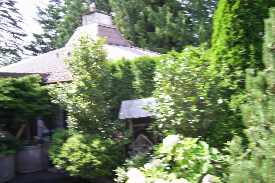 Photo of Others in Courtenay