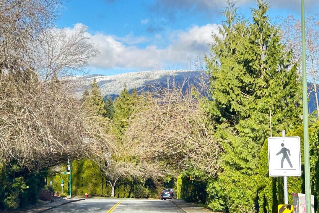 Photo of Others in Coquitlam