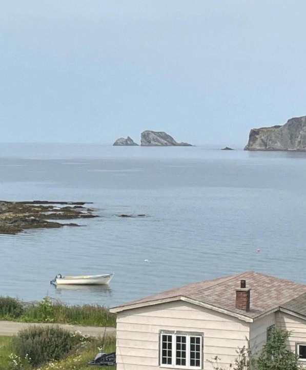 Photo of Others in Twillingate