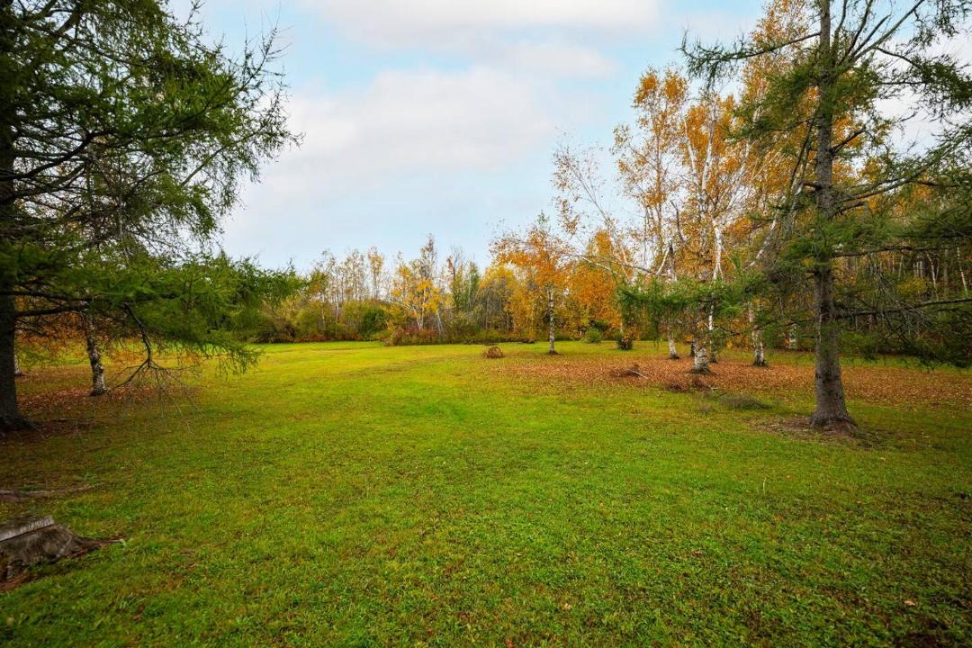 Photo of Others in Melancthon