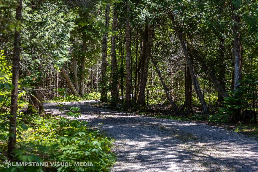 Photo of Others in Northern Bruce Peninsula