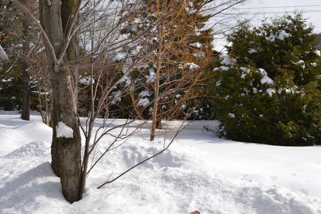 Photo of Others in Saint-Sauveur