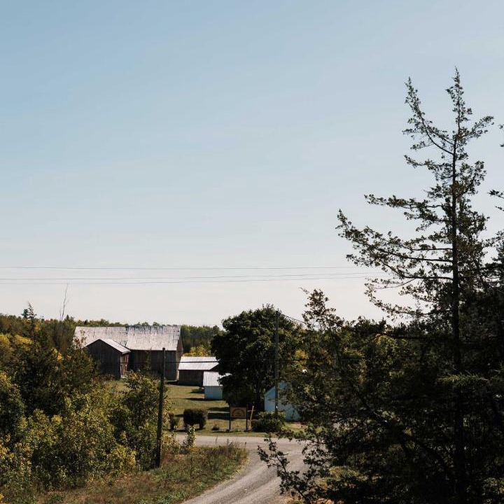 Photo of Others in Tyendinaga