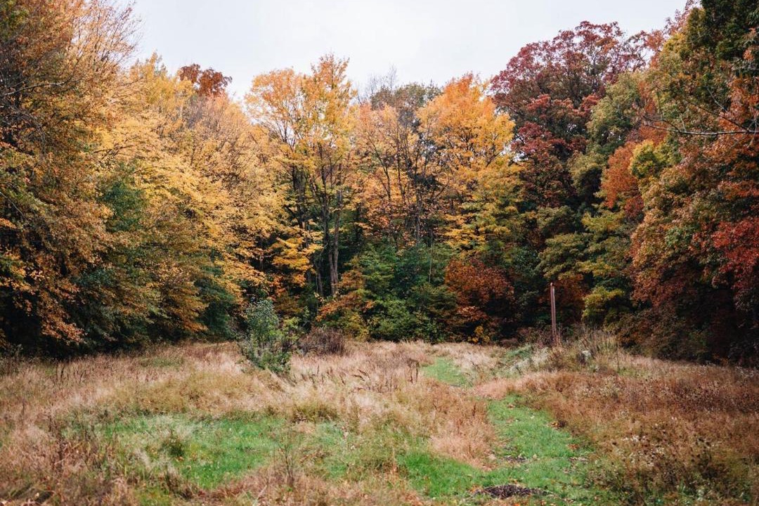Photo of Others in Bristolville