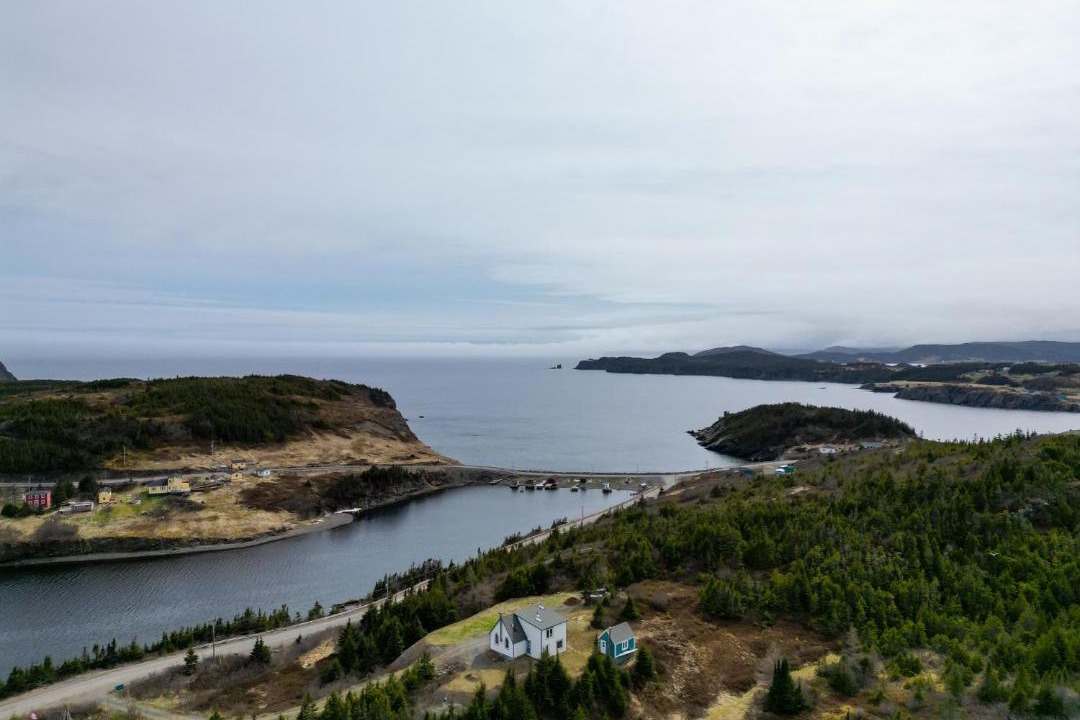 Photo of Others in Port Rexton