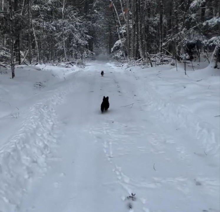 Photo of Others in Bromont