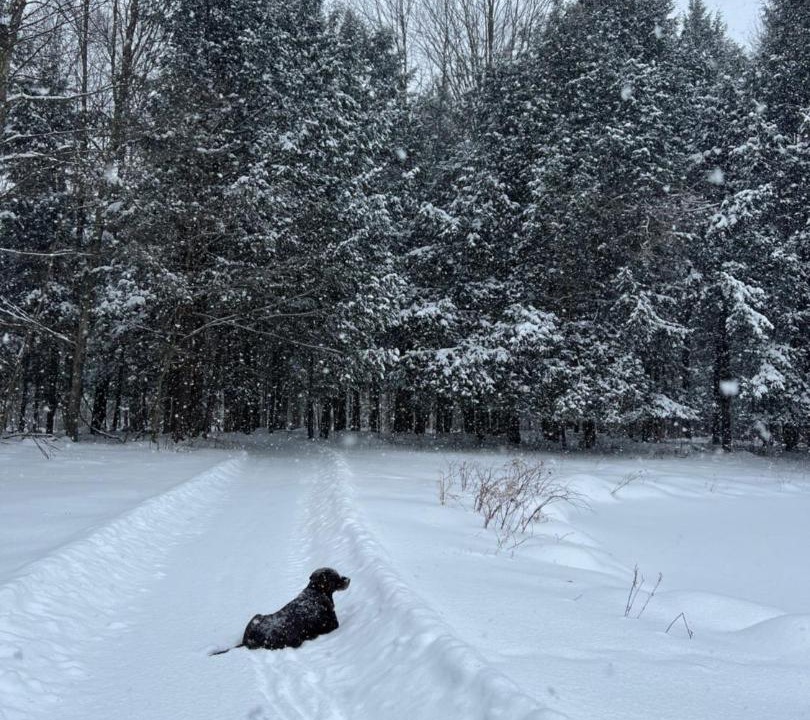 Photo of Others in Bromont