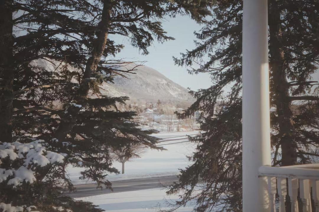 Photo of Others in Beloeil