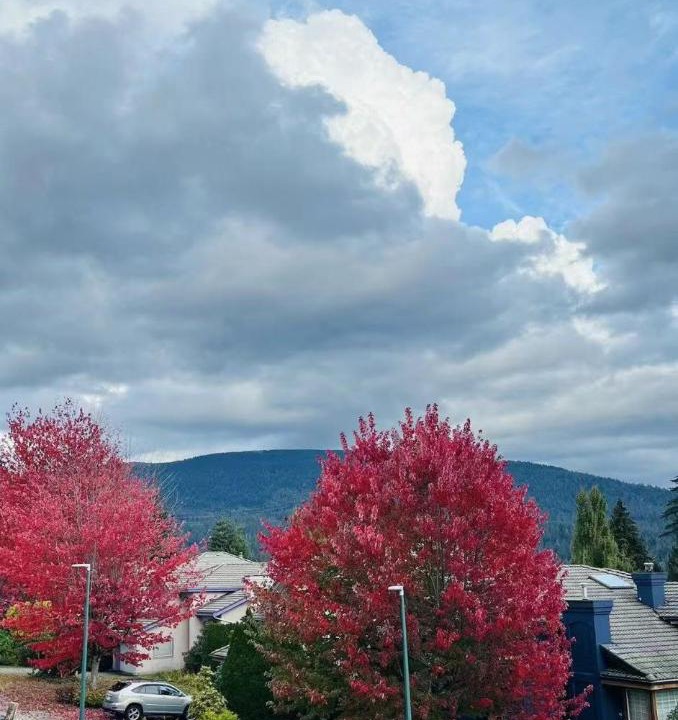 Photo of Others in Westwood Plateau