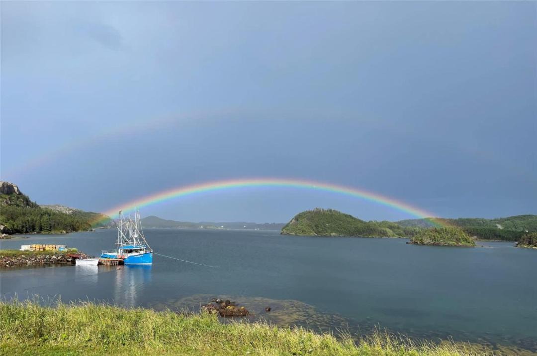 Photo of Others in Fogo