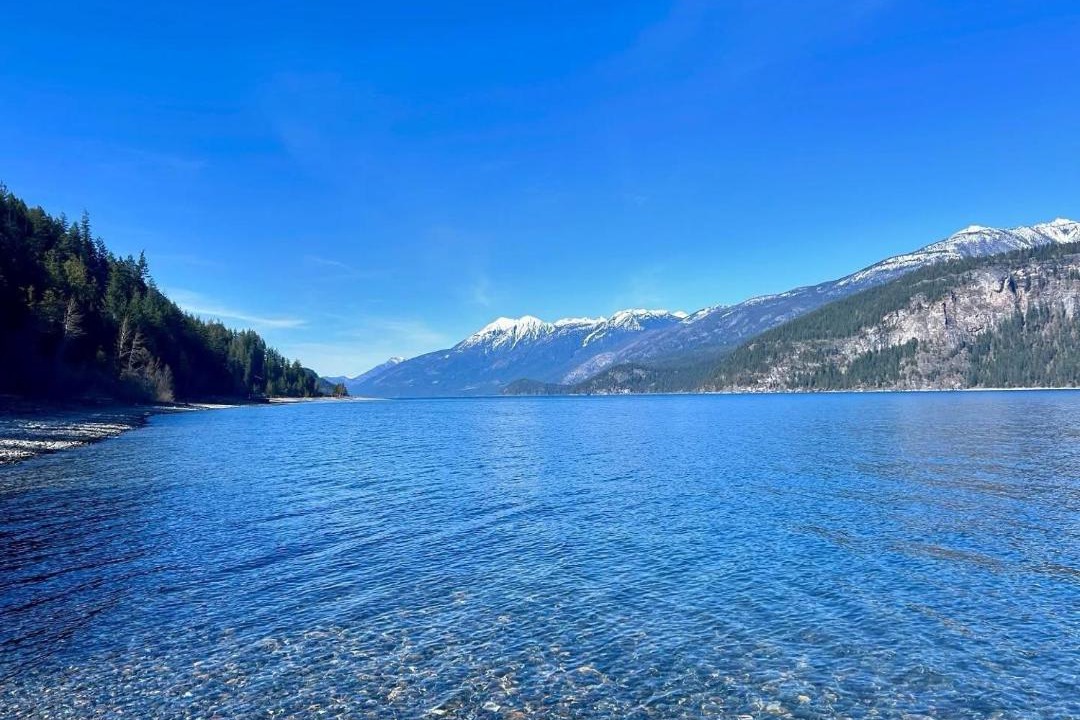 Photo of Others in Kaslo