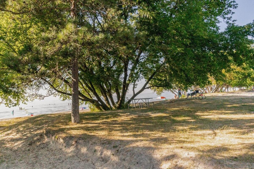 Photo of Others in Wasaga Beach