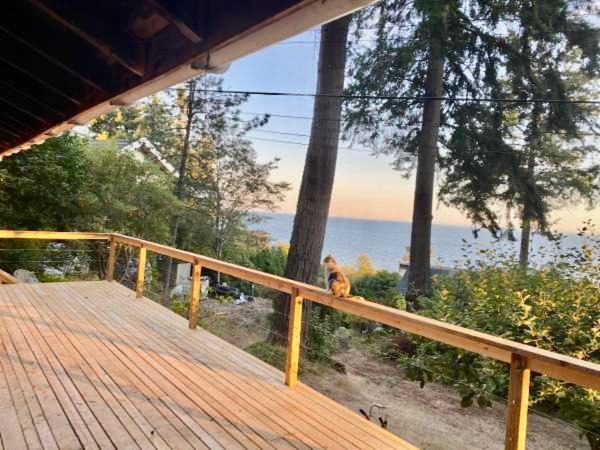Photo of Others in Roberts Creek