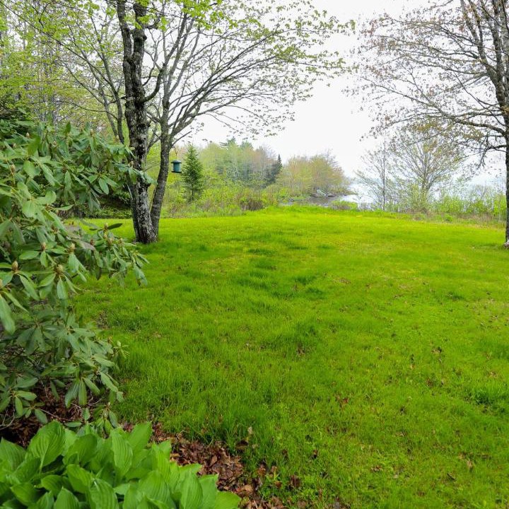 Photo of Others in Lunenburg County
