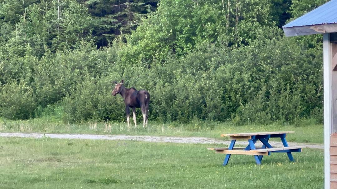 Photo of Others in Wiltondale