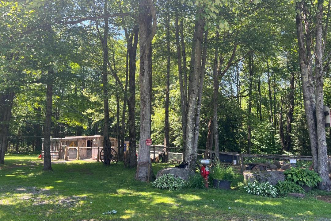 Photo of Others in Bromont