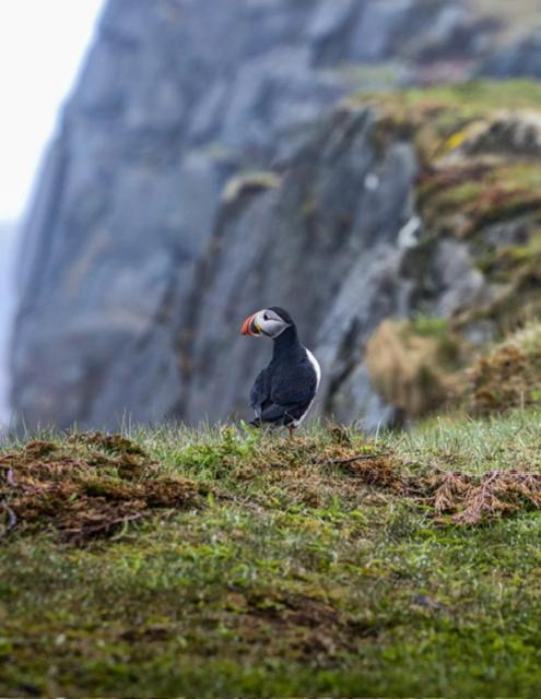 Photo of Others in Elliston
