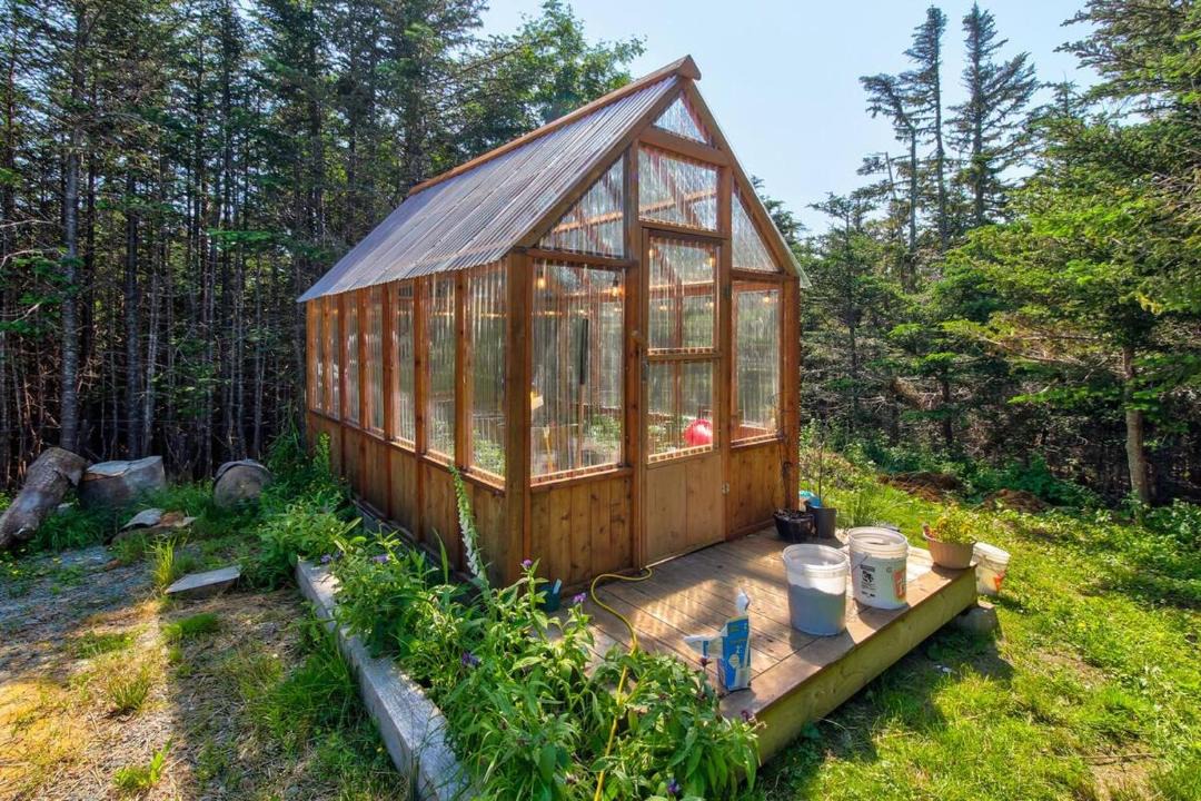 Photo of Others in Portugal Cove - St. Philips