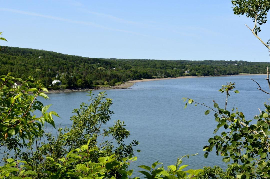 Photo of Others in Deep Brook