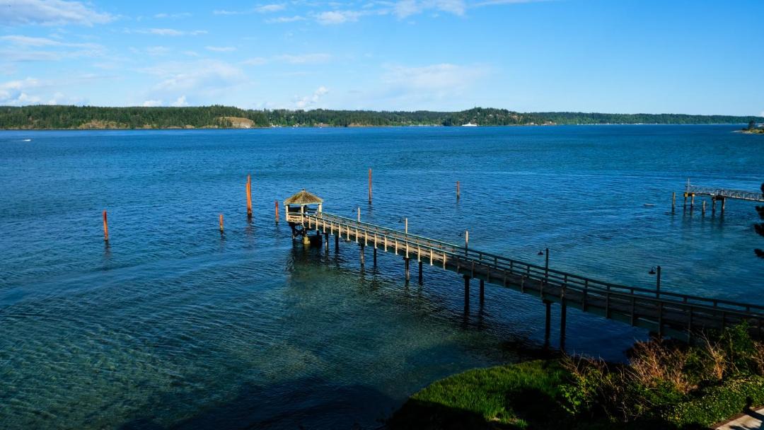 Photo of Others in Campbell River