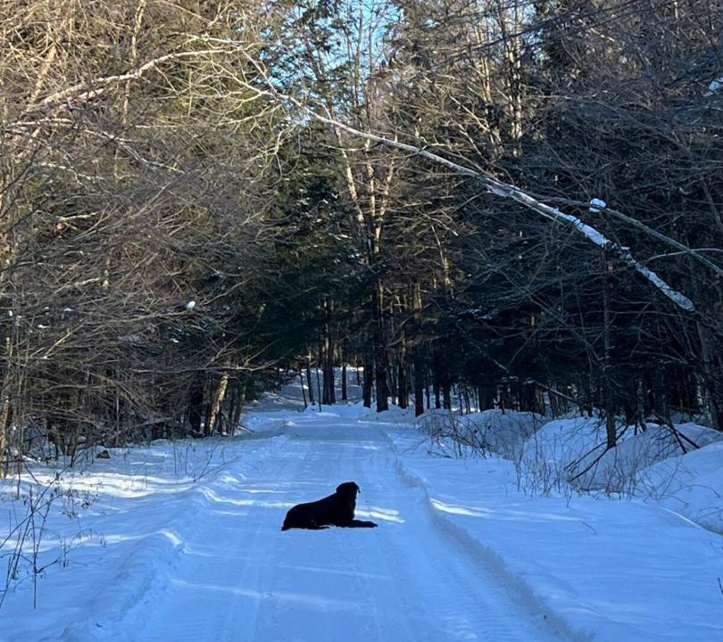 Photo of Others in Bromont