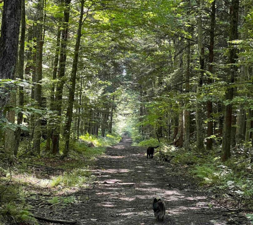 Photo of Others in Bromont