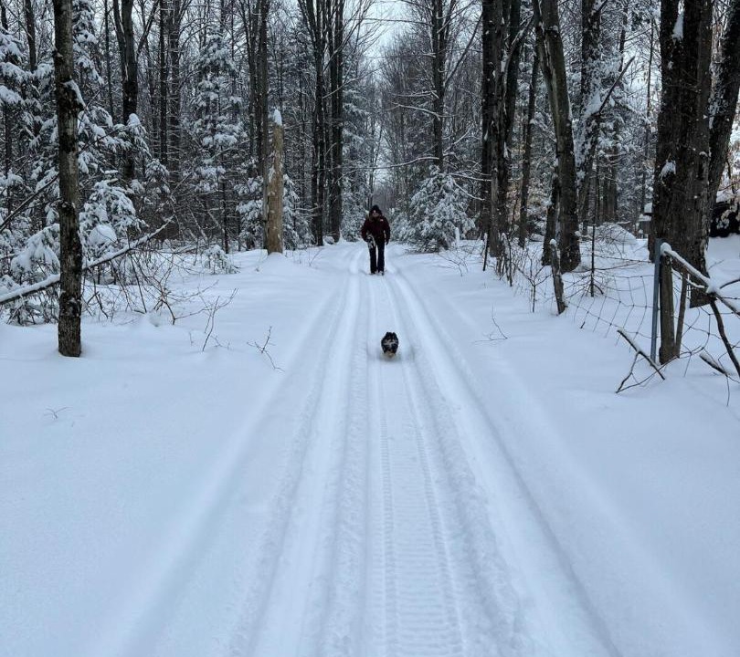 Photo of Others in Bromont
