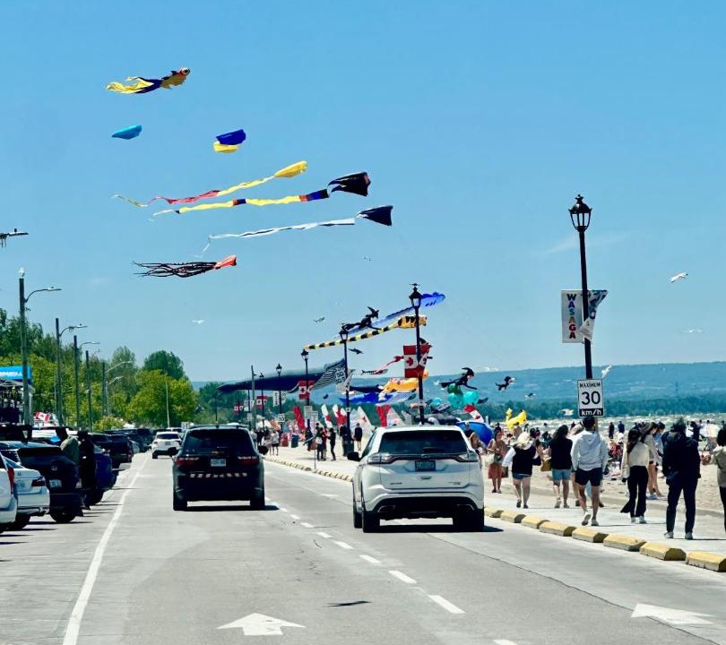 Photo of Others in Terra Nova