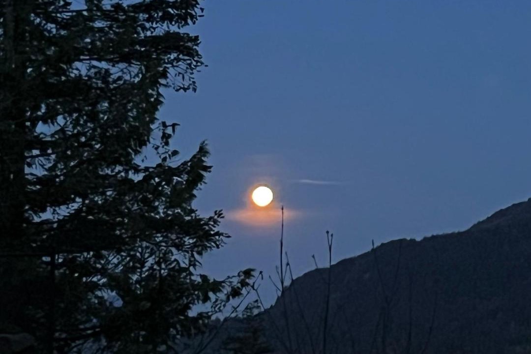 Photo of Others in Agassiz
