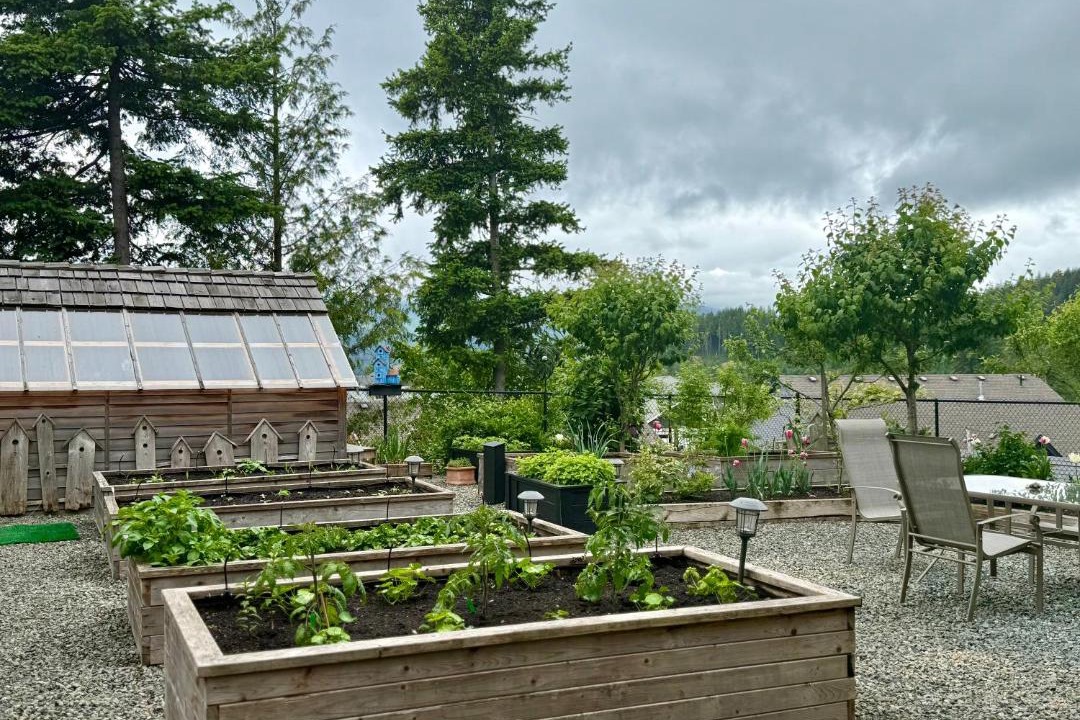Photo of Others in Agassiz