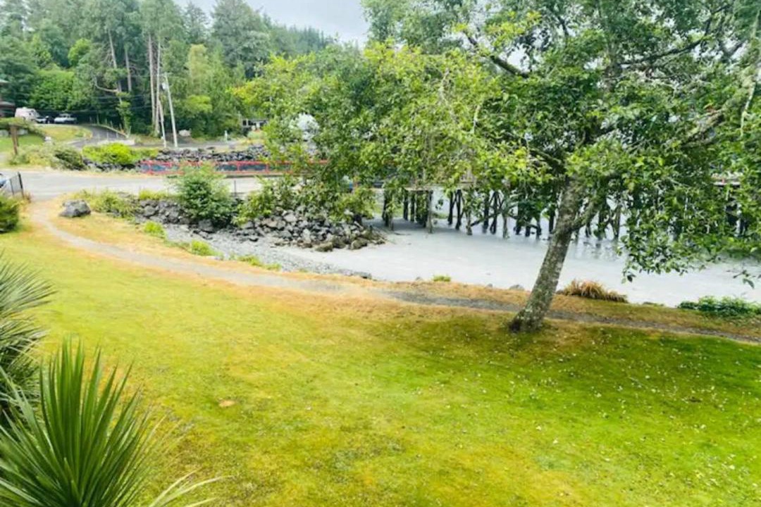 Photo of Others in Tofino
