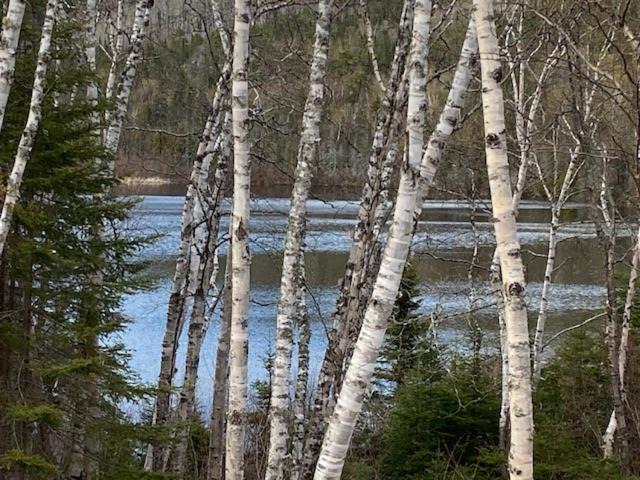 Photo of Others in Tadoussac