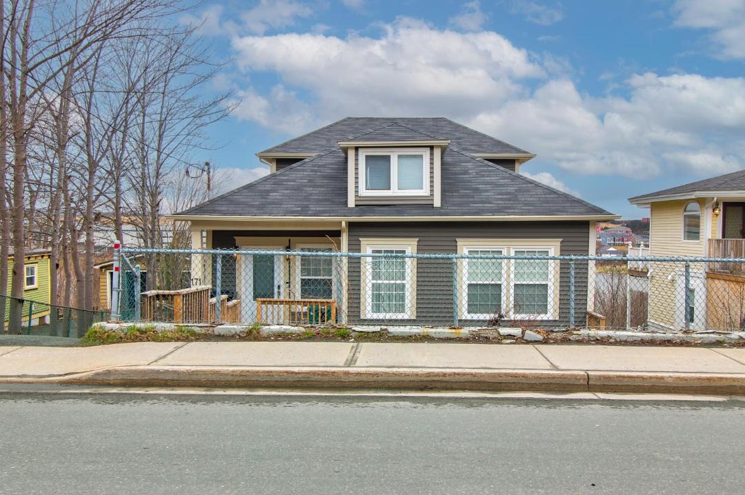 Photo of Others in Quidi Vidi