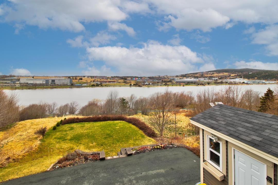 Photo of Others in Quidi Vidi