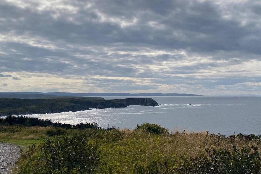 Photo of Others in Grates Cove