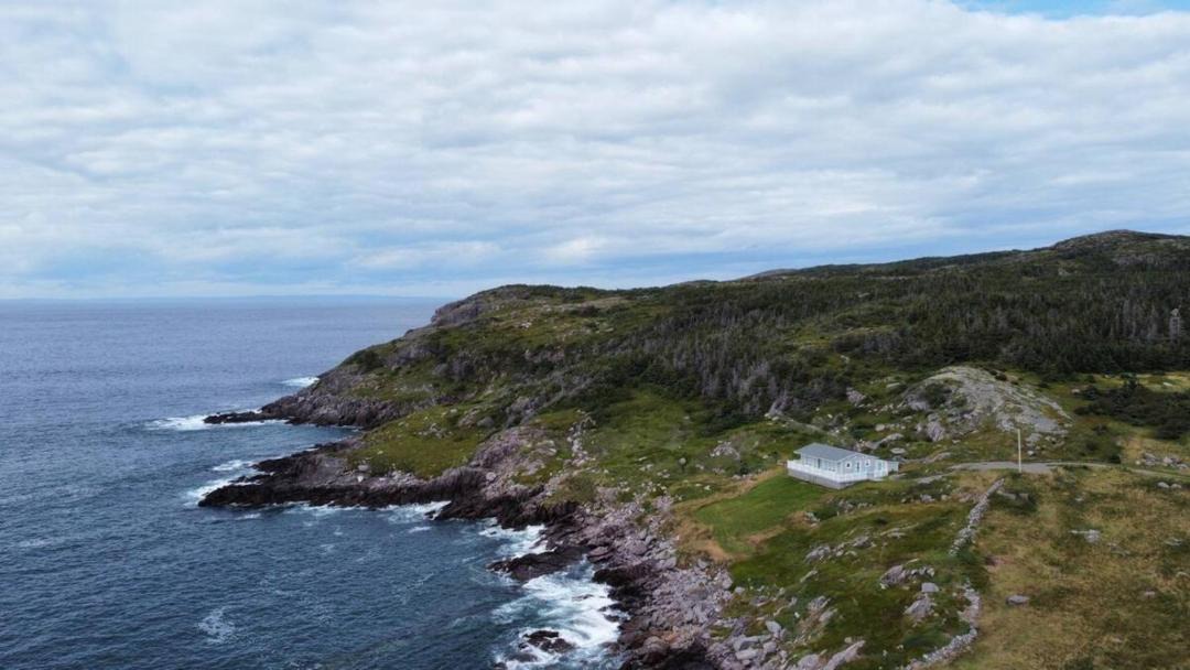 Photo of Others in Grates Cove
