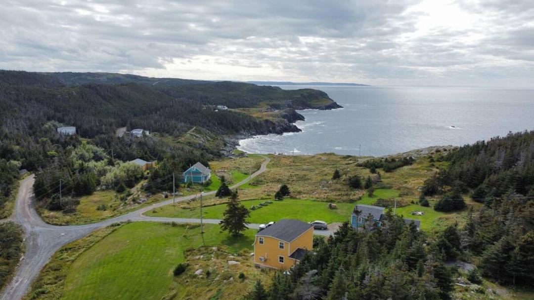 Photo of Others in Grates Cove