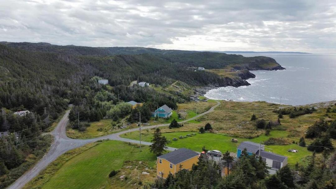Photo of Others in Grates Cove