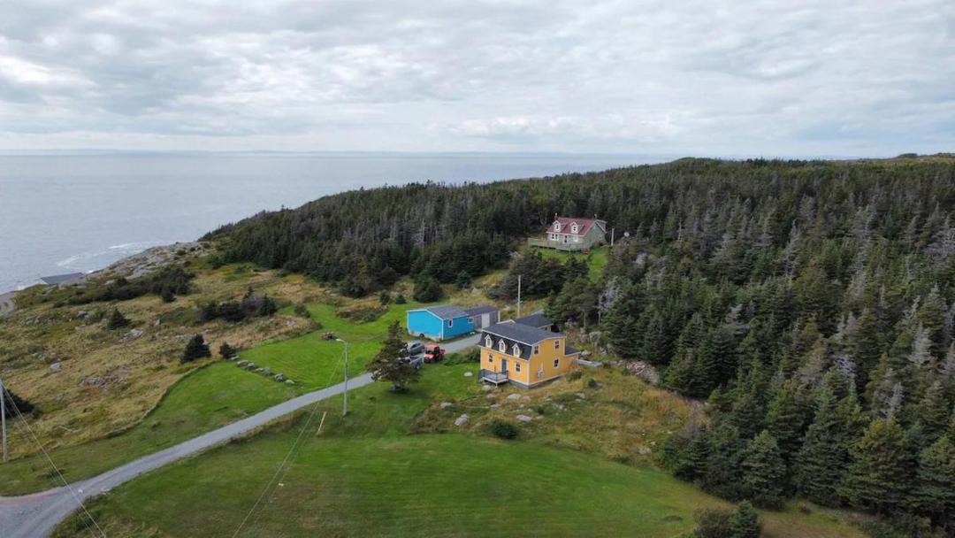 Photo of Others in Grates Cove