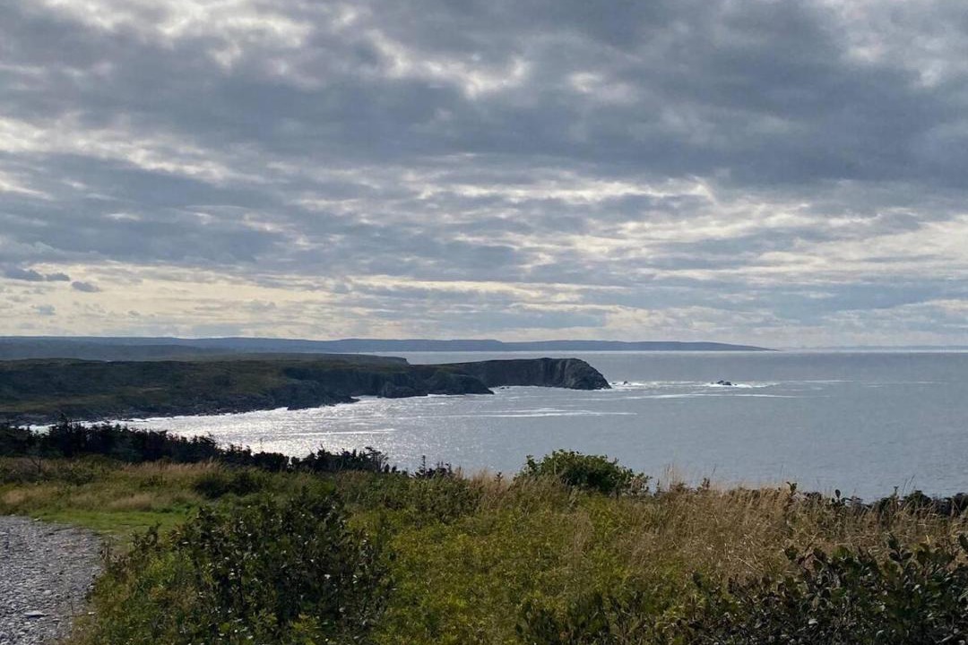Photo of Others in Grates Cove